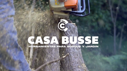 CASA BUSSE